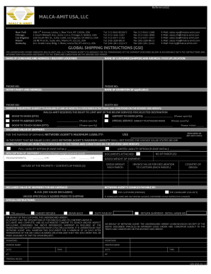 MALCA AMIT USA LLC  Form