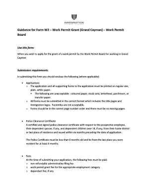 Working Permit Sample  Form