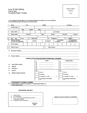 Dip Form 2