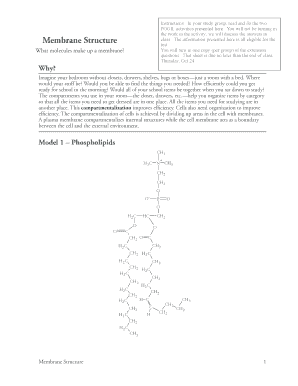 Membrane Function Pogil Answer Key  Form