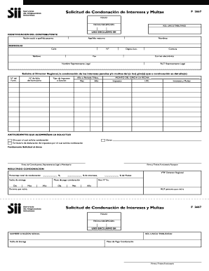 F2667  Form