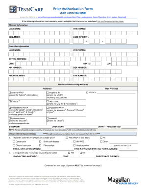 Tenncare Prior Authorization Form