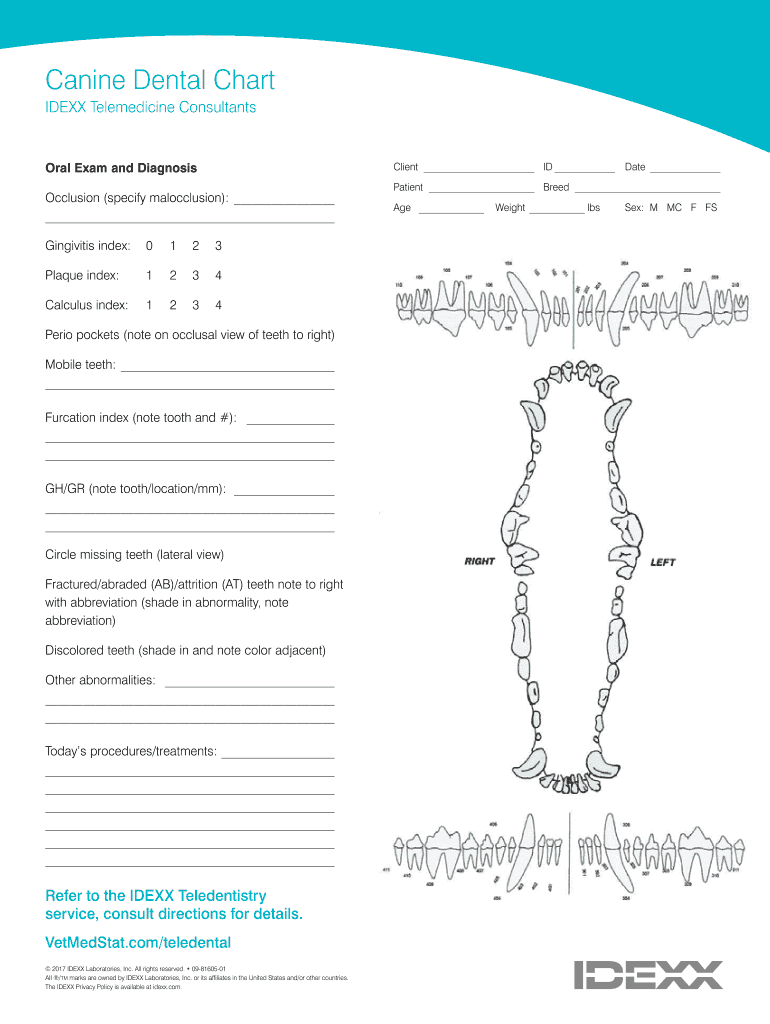 Canine Dental Chart Printable  Form