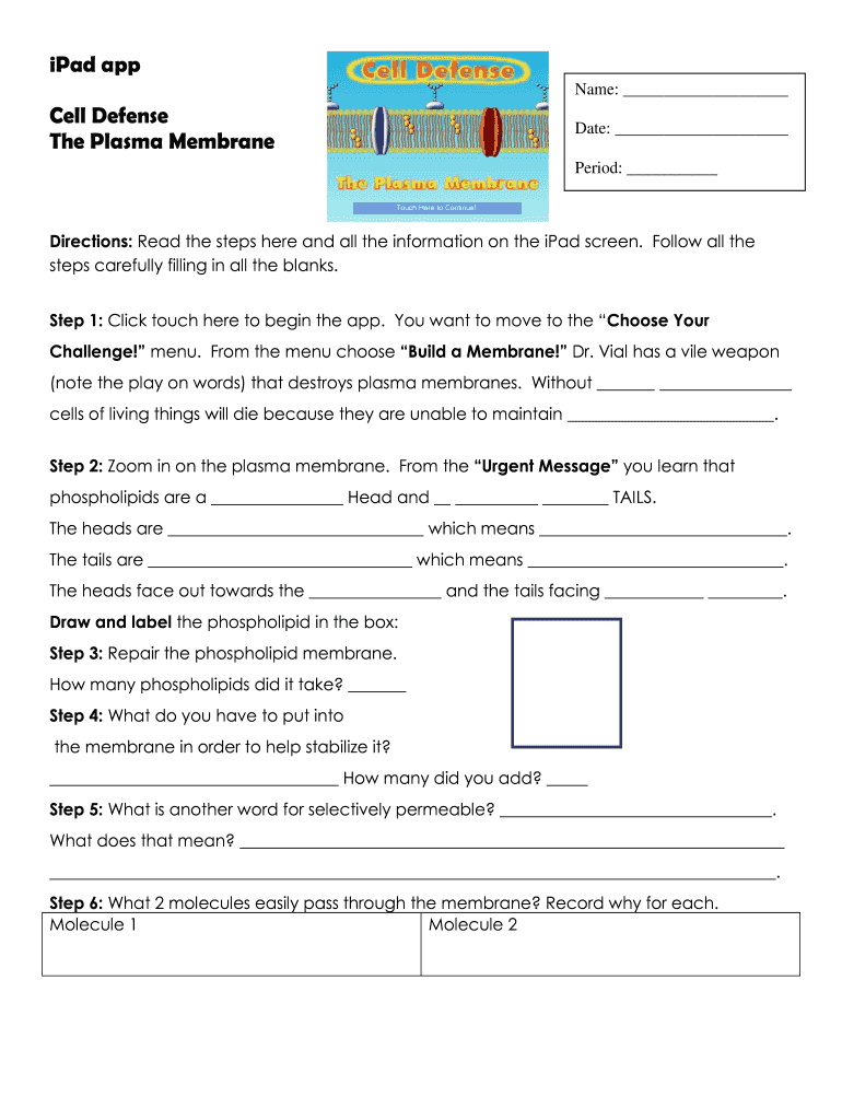 Cell Defense the Plasma Membrane Answer Key PDF  Form