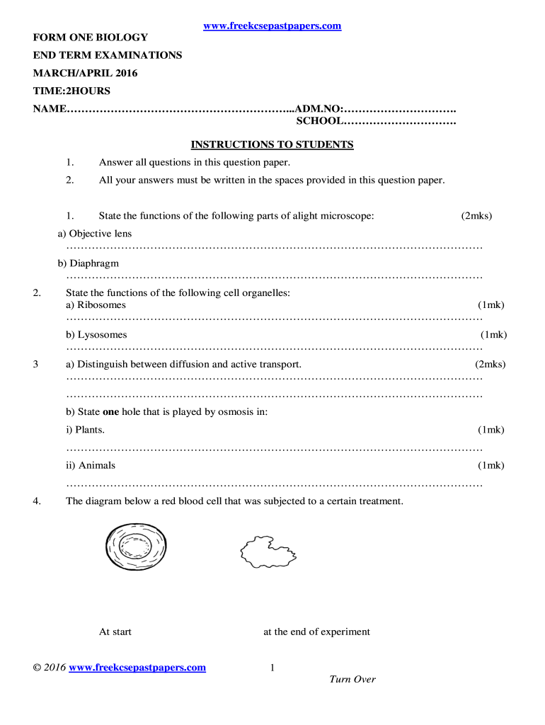 End Term 2 Exams  Form