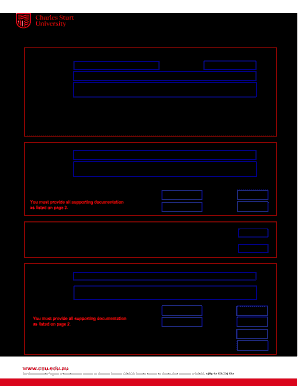 SUPPORTING FINANCIAL DECLARATION  Form