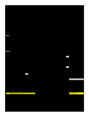 Schedule C PDF  Form