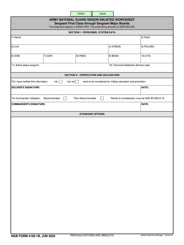 NGB Form 4100 1B