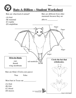 Bats Worksheets  Form