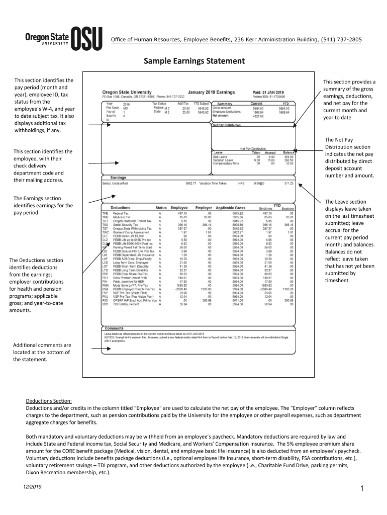 Sample Earnings  Form