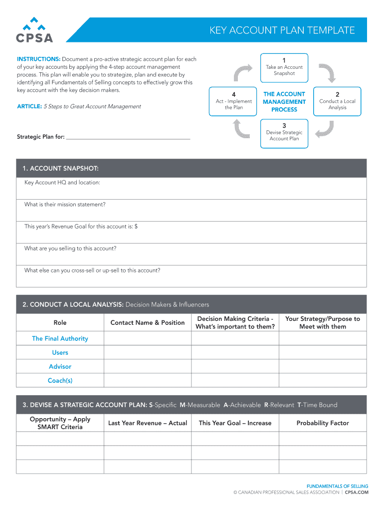 One Page Account Plan Template  Form