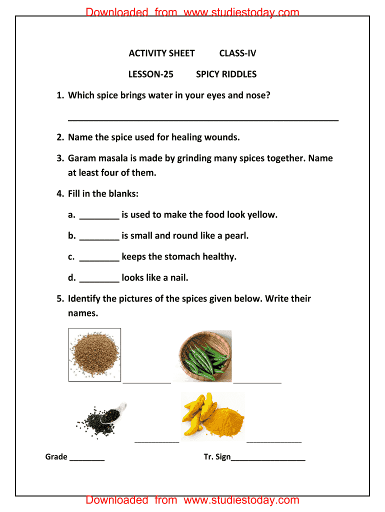 Evs Worksheets for Class 4 with Answers PDF  Form