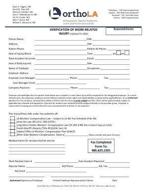 Get and Sign PDF Work Related Injury 2020-2022 Form