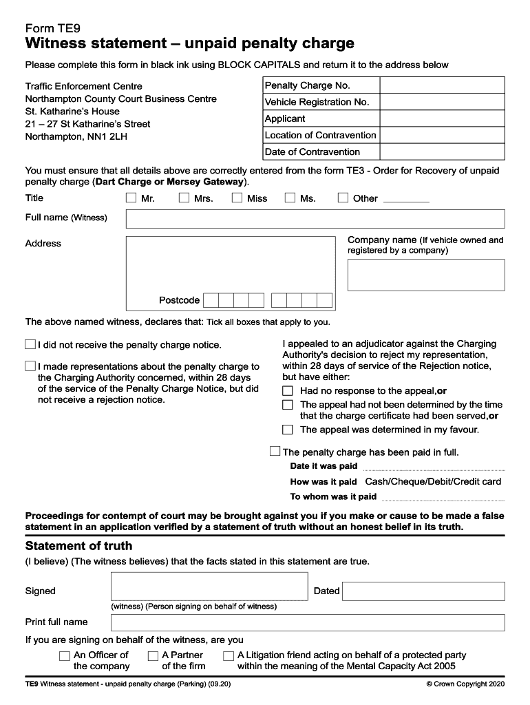 Te9 Witness Statement  Form