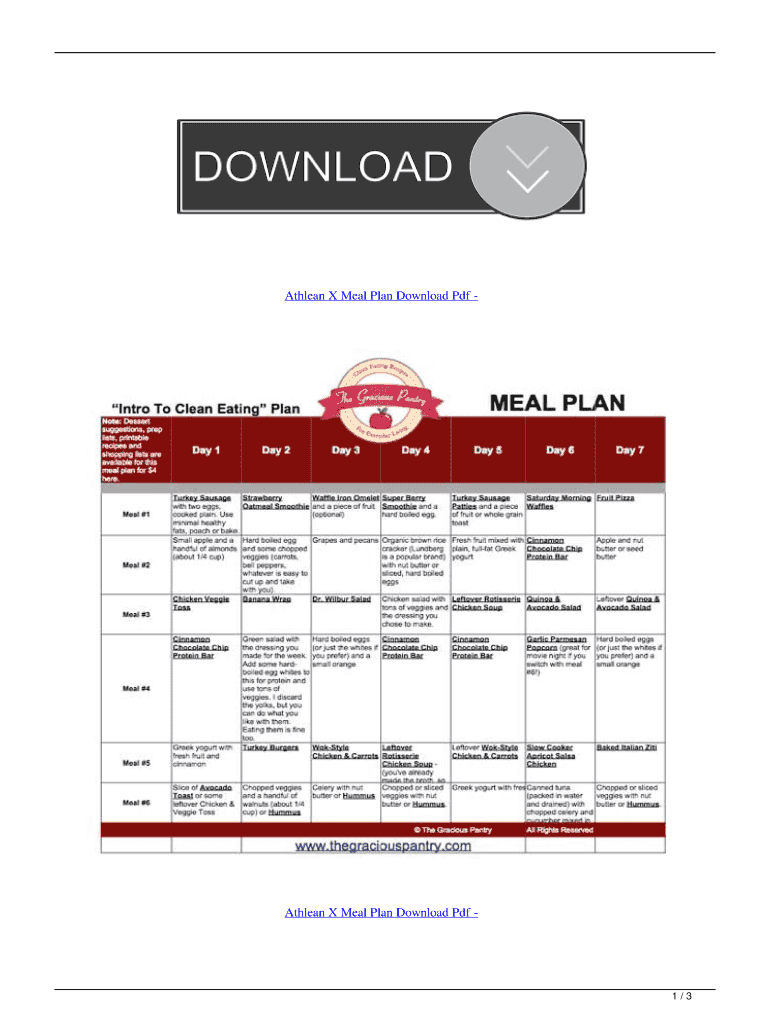 Athlean X 90 Day Program PDF  Form