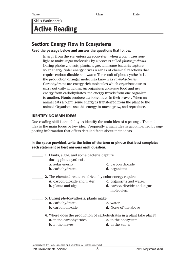 Energy Flow Worksheet PDF Answers  Form