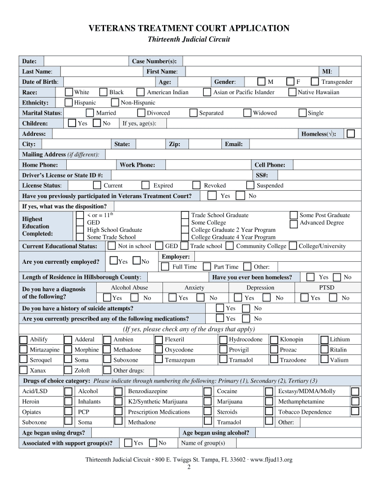  Veterans Treatment Court Application Thirteenth Judicial Circuit 2019-2024