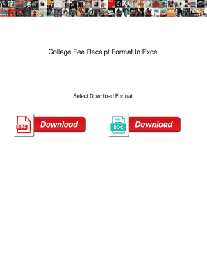 College Fee Receipt Format in Excel