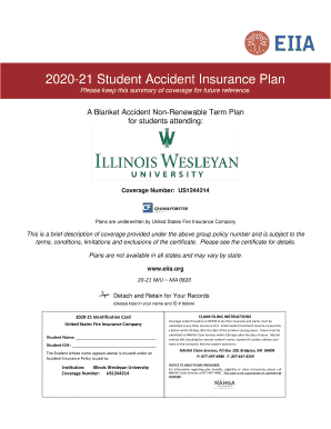  Illinois Wesleyan University20 21 MA Brochure EIIA 2020-2024