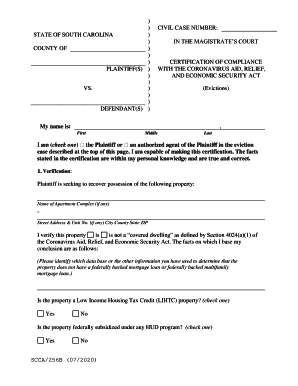 SCCA256B 07 CIVIL CASE NUMBER STATE of SOUTH  Form