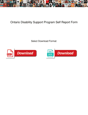 Odsp Self Report Form PDF