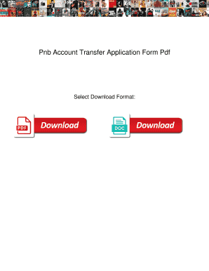 Pnb Account Transfer Application Form PDF