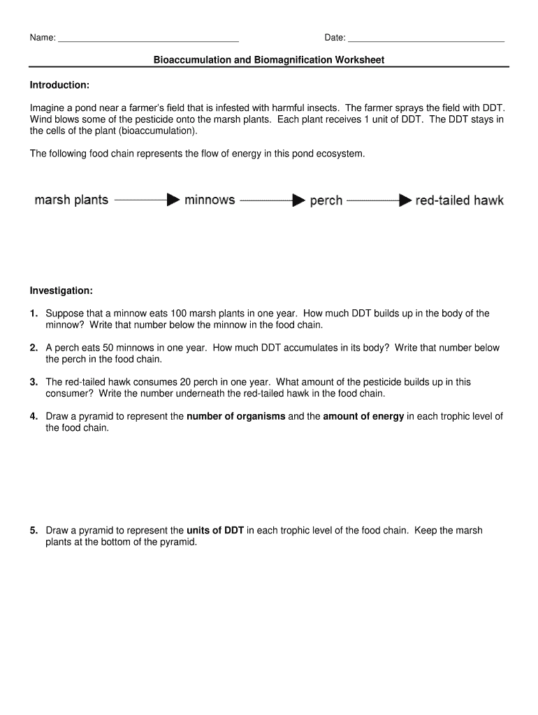 Bioaccumulation and Biomagnification Worksheet  Form