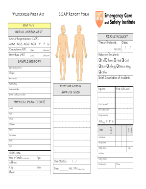 Ecsi Wilderness First Aid Report Form PDF