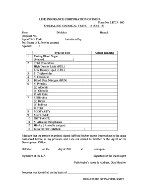 Sbt 13 Test  Form