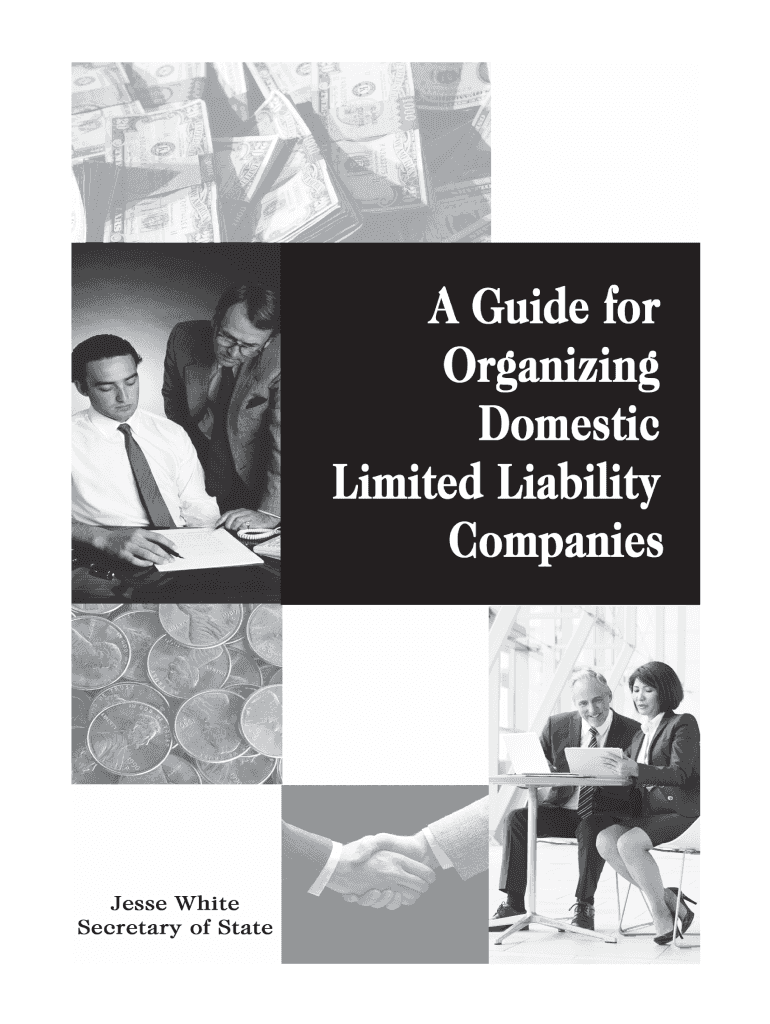 Get and Sign PDF a Guide for Organizing Domestic Limited Liability Companies in Illinois 2020-2022 Form