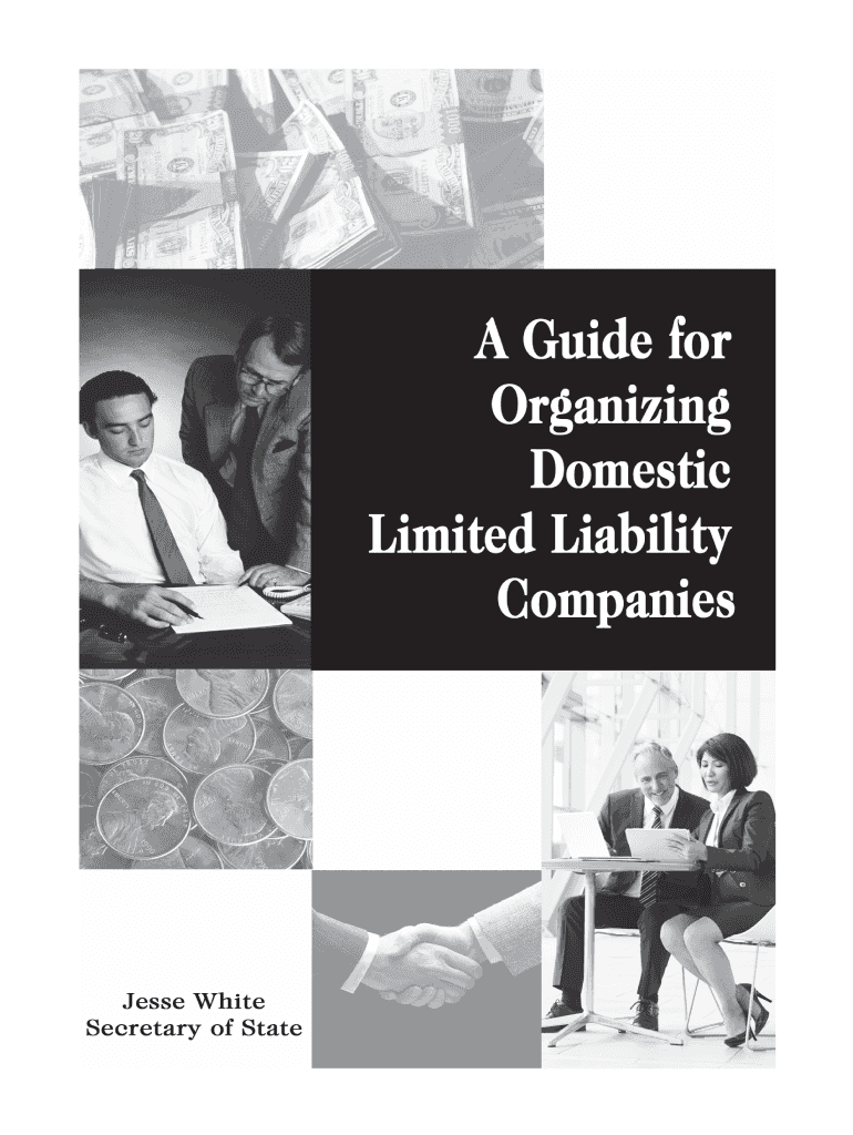  PDF a Guide for Organizing Domestic Limited Liability Companies in Illinois 2020-2024