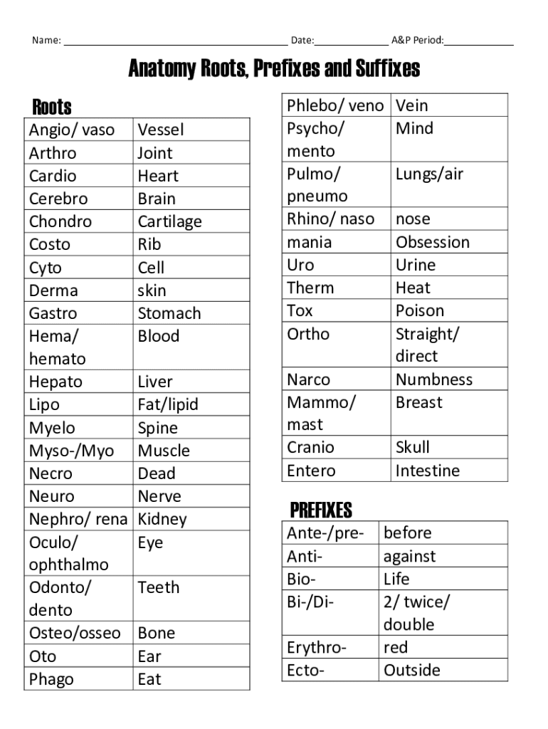 Anatomy Prefixes and Suffixes List  Form
