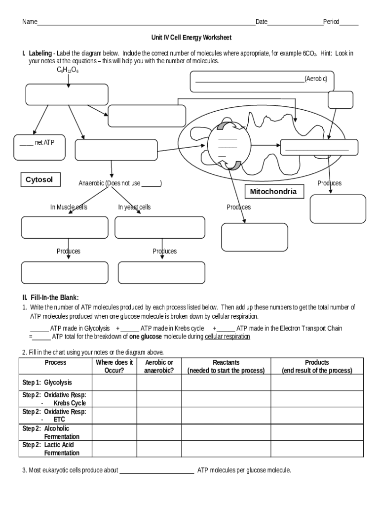 Unit Iv Cell Energy Worksheet  Form