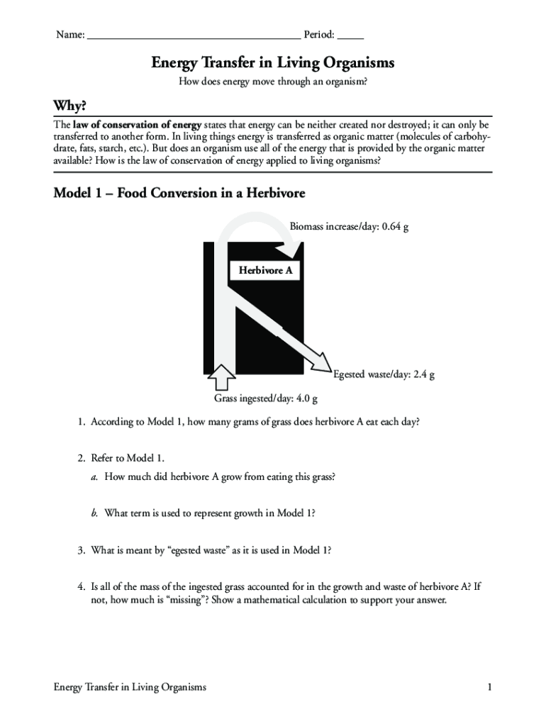 Energy Transfer in Living Organisms Pogil Answer Key  Form