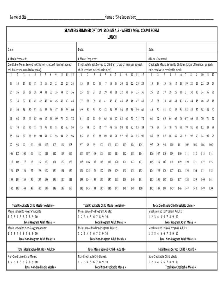 Seamless Summer Meal Count Form