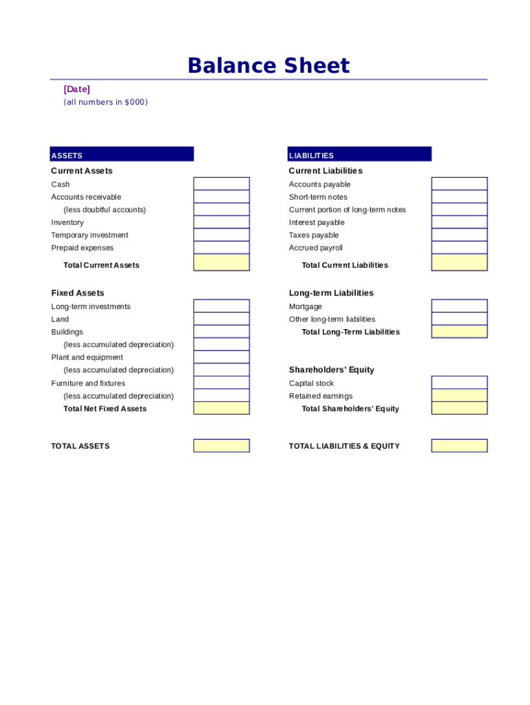 Simple Balance Sheet  Form
