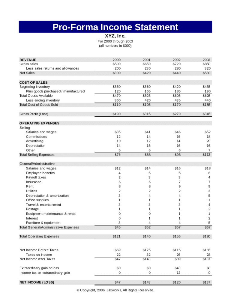 Pro Forma Income Statement