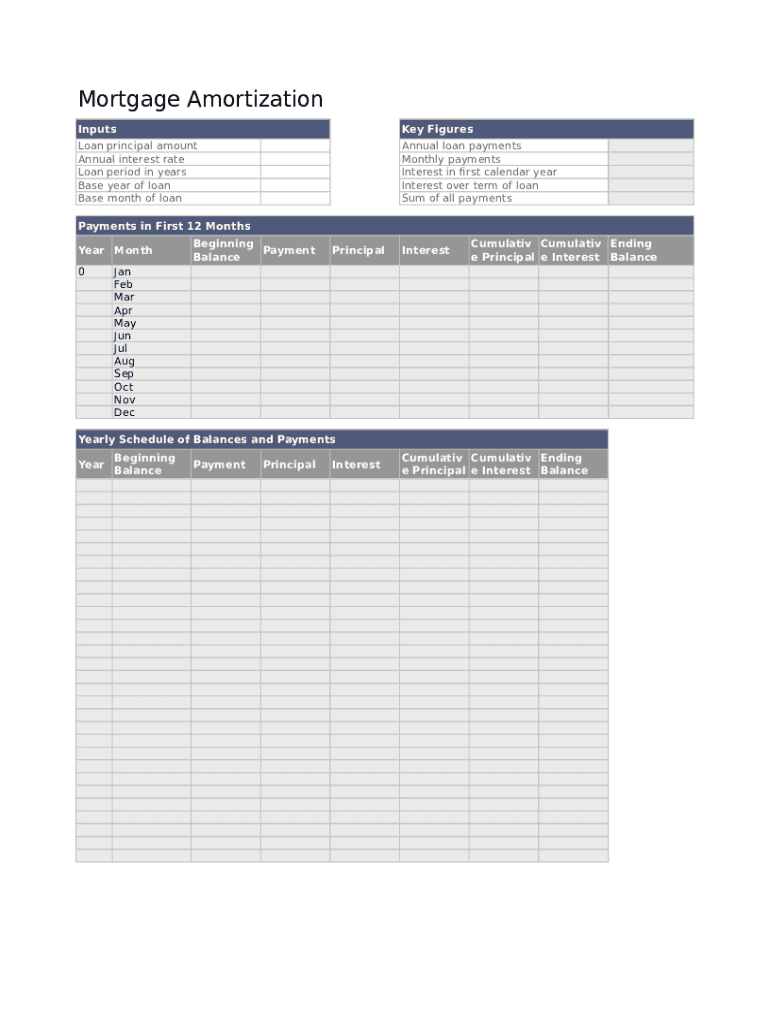 Mortgage Amortization Template  Form