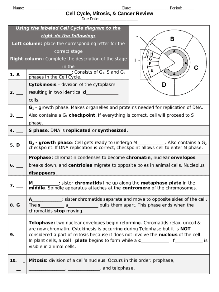 Cell Cycle and Mitosis Worksheet  Form