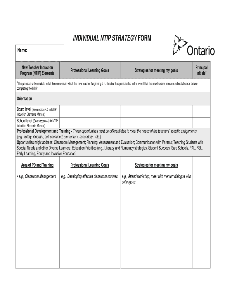  NTIP Individual Strategy Form 2011