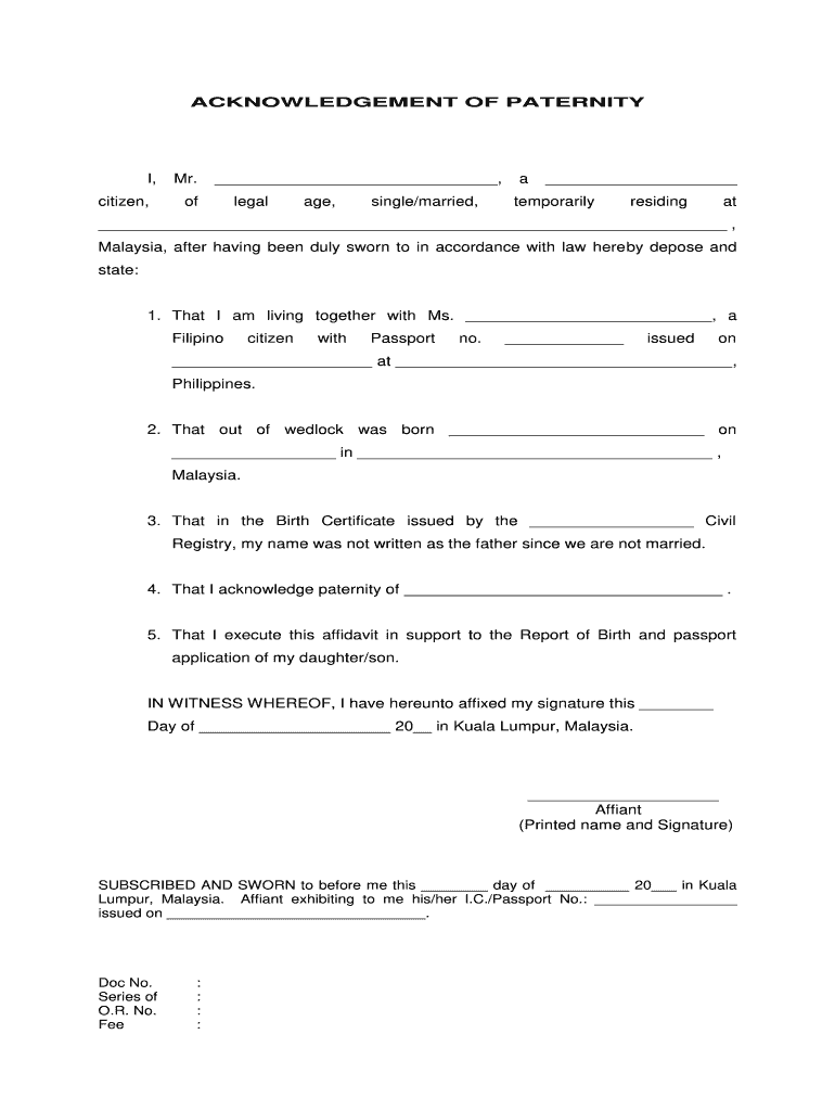 Paternity Affidavit Form Fill Out And Sign Printable Pdf Template