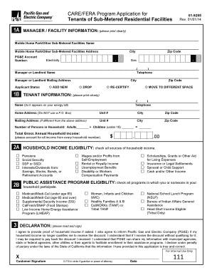 Care Program Pge  Form