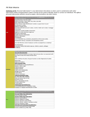 Pii Risk Matrix  Form