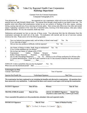 Brain Ct Scan Report Sample PDF  Form