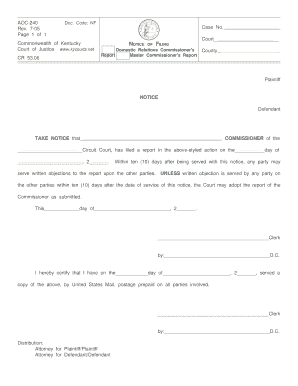 Domestic Commissioner Report  Form