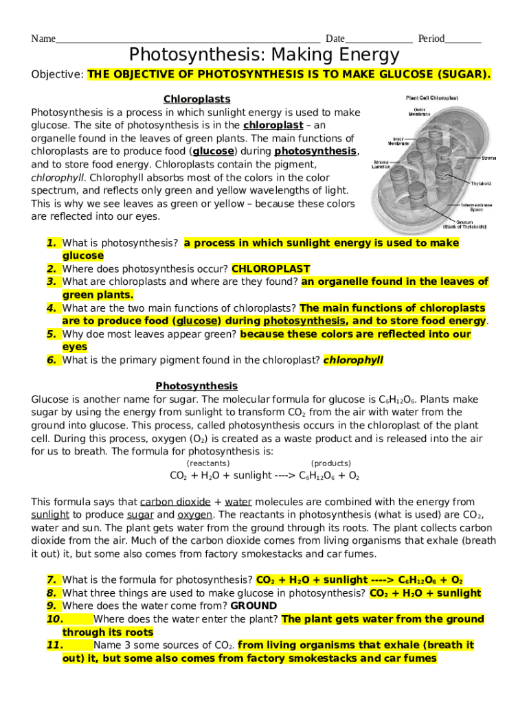 Photosynthesis Making Energy Worksheet  Form