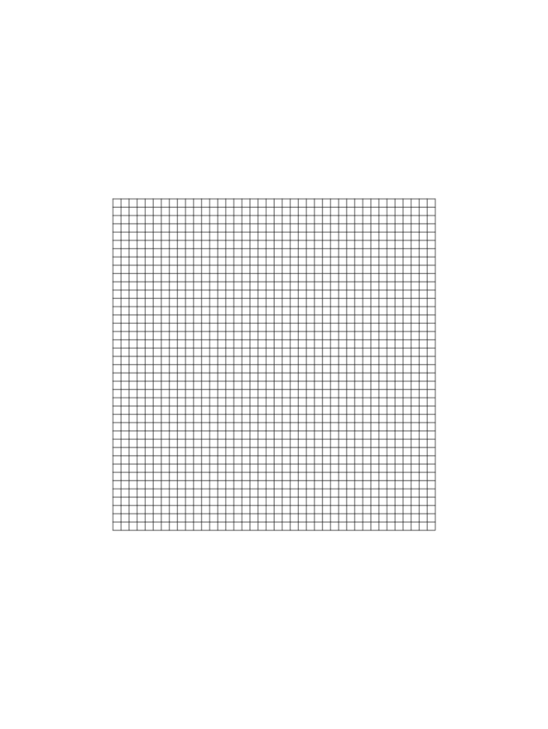 40 by 40 Grid  Form