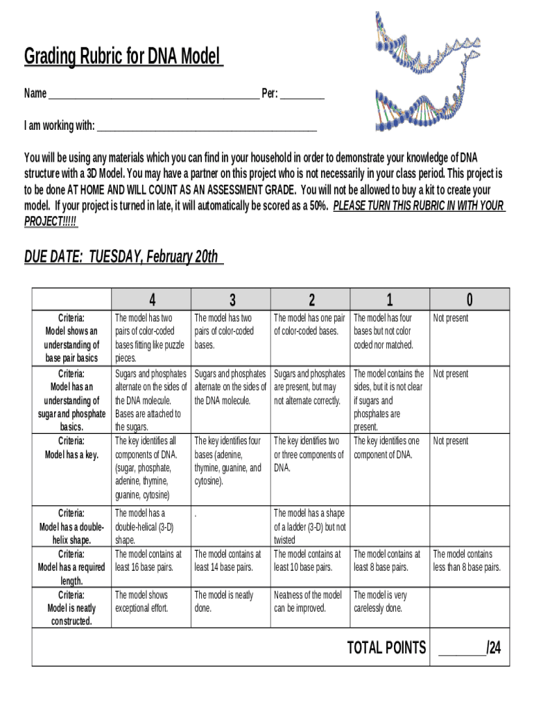 Dna Model Project Rubric  Form