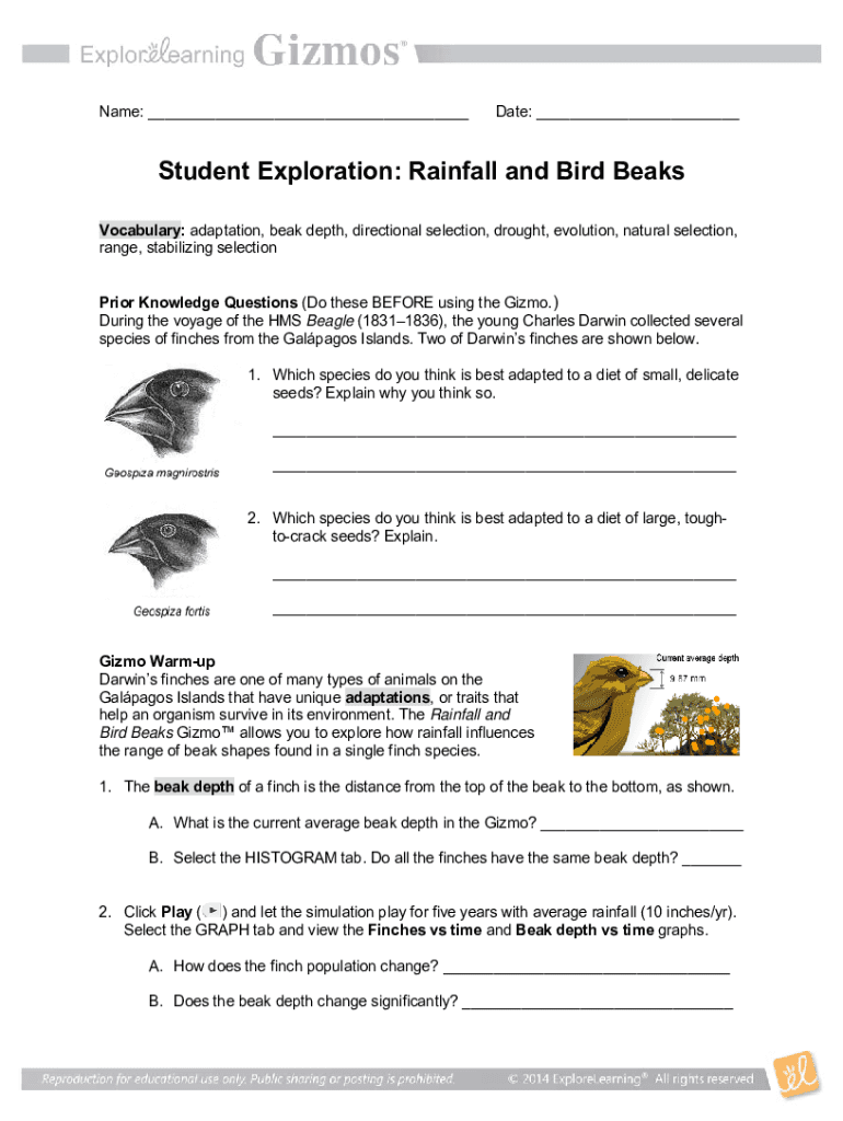 Rainfall and Bird Beaks Gizmo Answers  Form