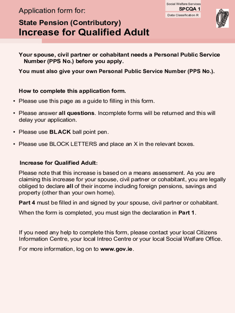 Data Classification R State Pension Assets Gov Ie  Form